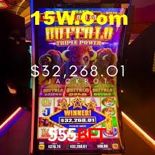 Sports Statistics 555bet